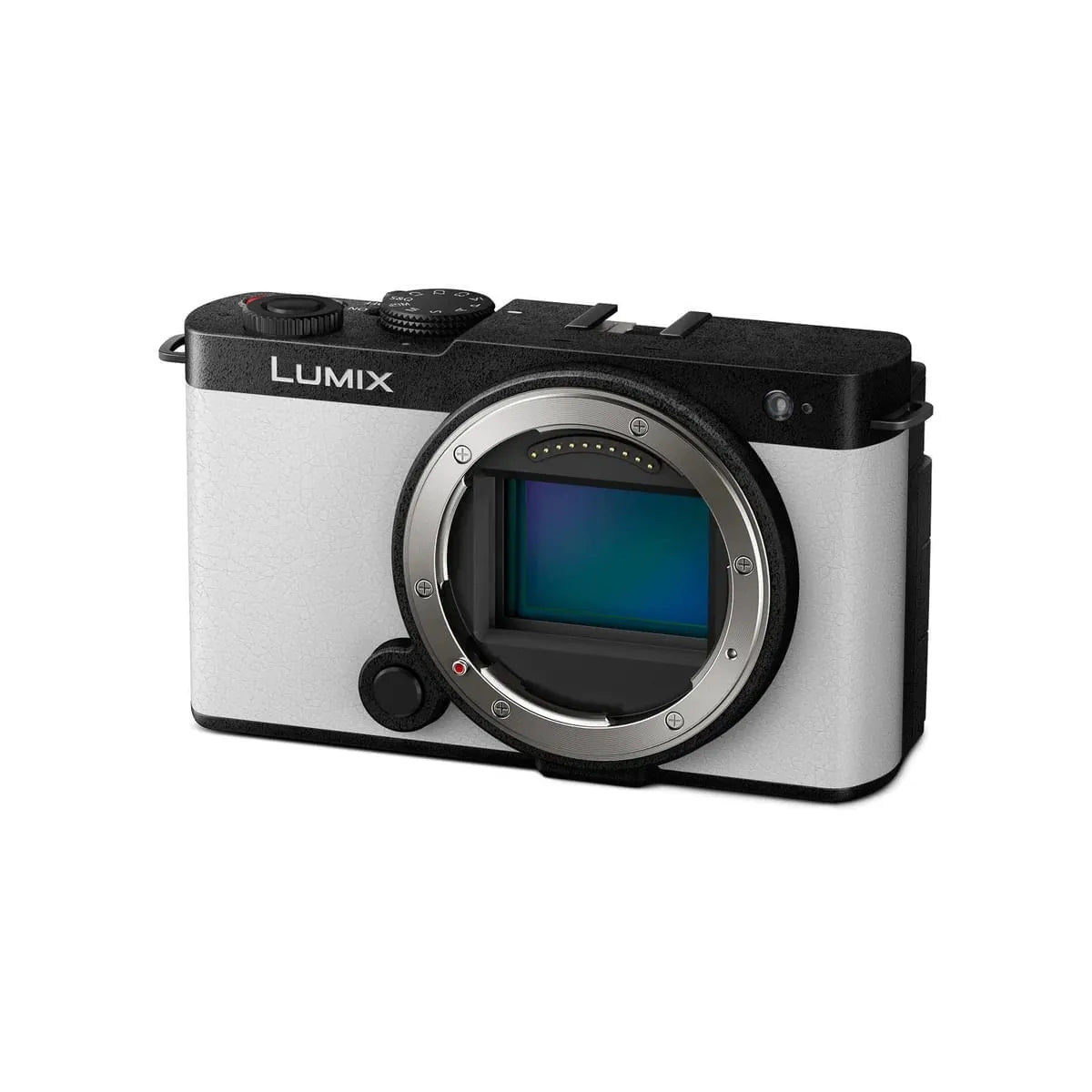 Panasonic Lumix S9 Aparat Foto Mirrorless Full Frame 24MP 6K Alb Smokey